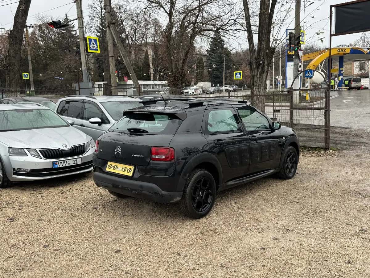 Citroen C4 Cactus - fotografia 7