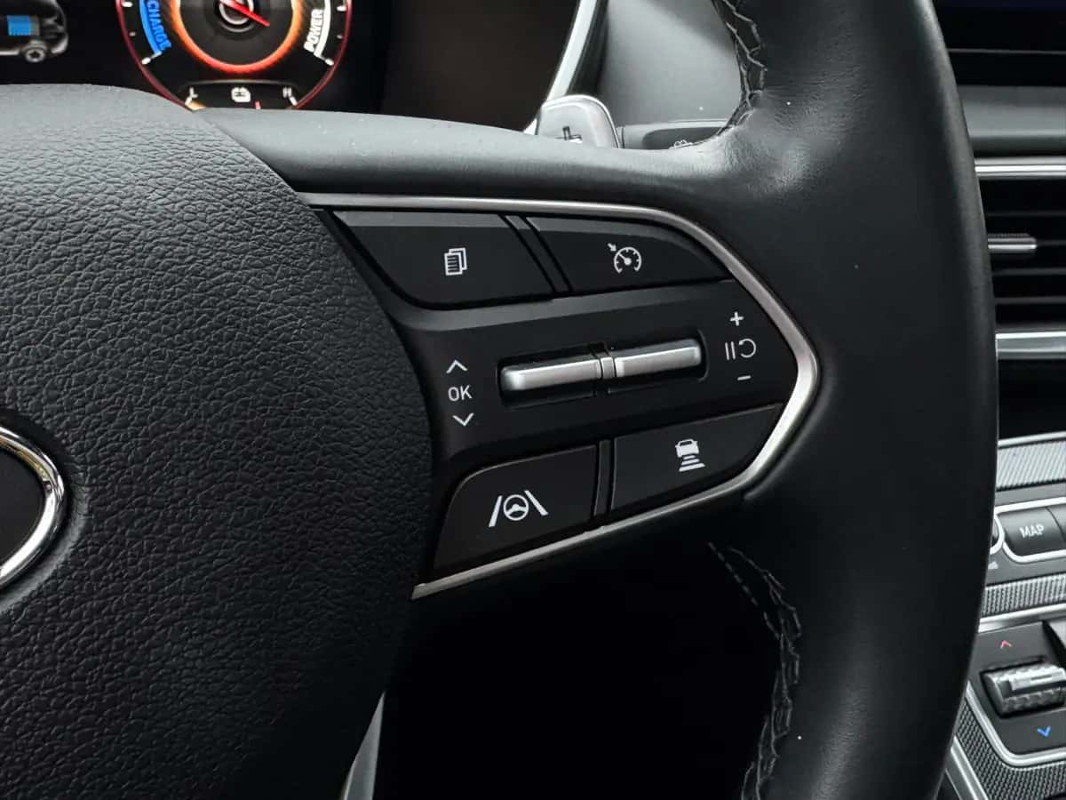 Hyundai Santa FE - fotografia 19